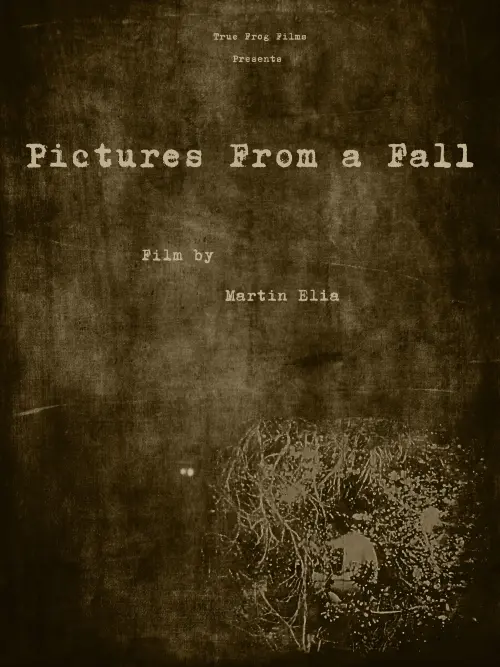 Постер до фільму "Pictures From a Fall"