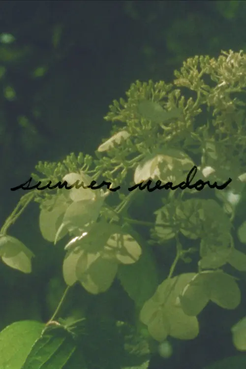 Постер до фільму "Summer Meadow"