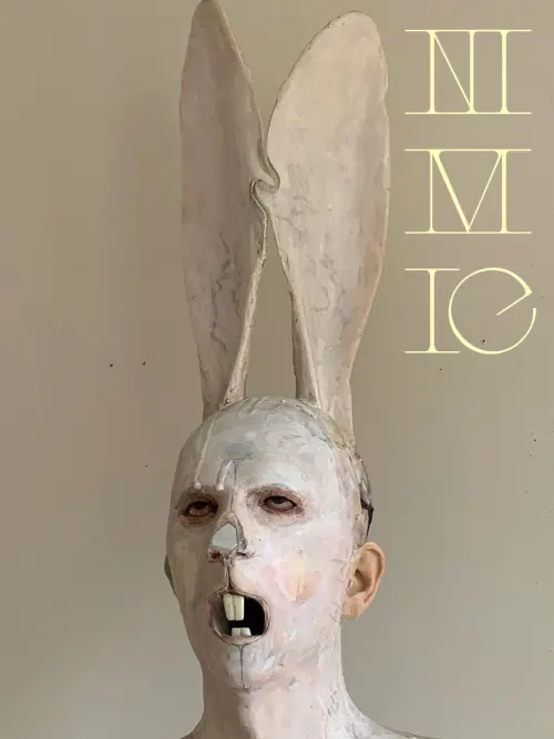 Постер до фільму "Nimic"