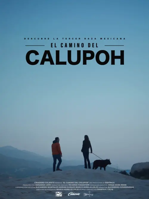 Постер до фільму "El Camino del Calupoh"