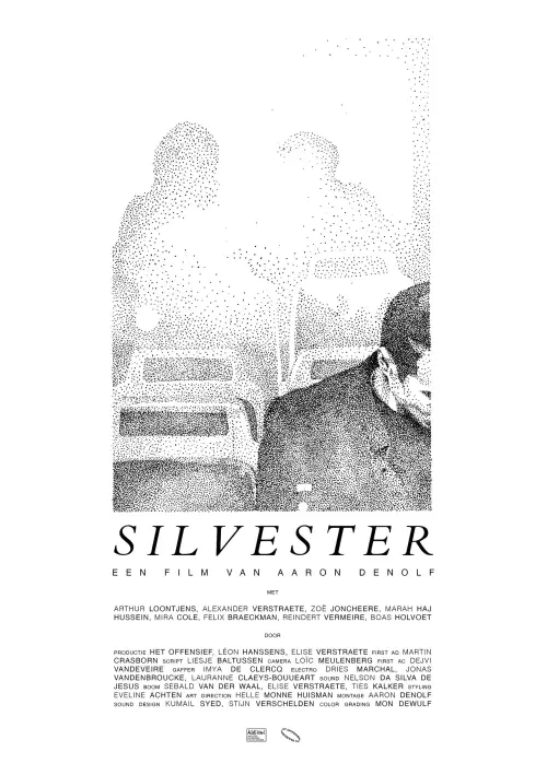 Постер до фільму "Silvester"