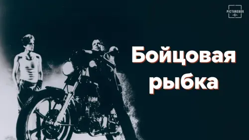 Відео до фільму Бійцівська рибка | Rumble Fish (Francis Ford Coppola, 1983) Theatrical Trailer