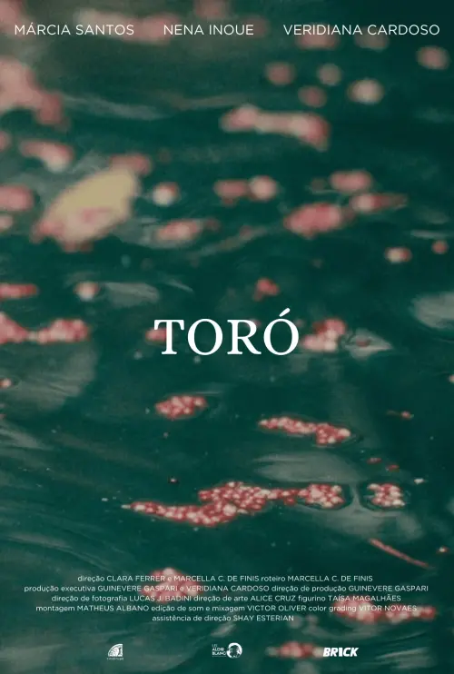 Постер до фільму "Toró"