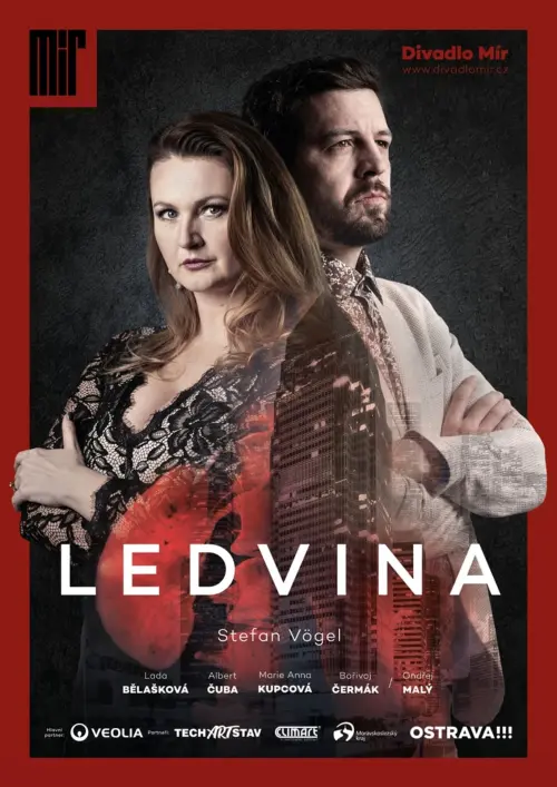 Постер до фільму "Ledvina"