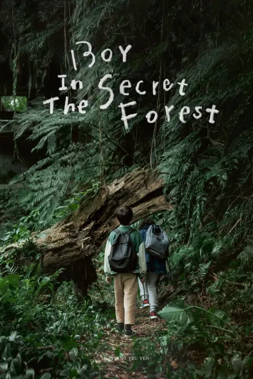 Постер до фільму "Boy in the Secret Forest"