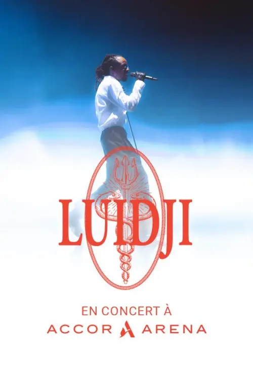 Постер до фільму "Luidji à l