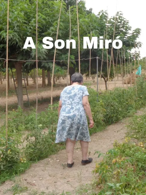 Постер до фільму "A Son Miró"