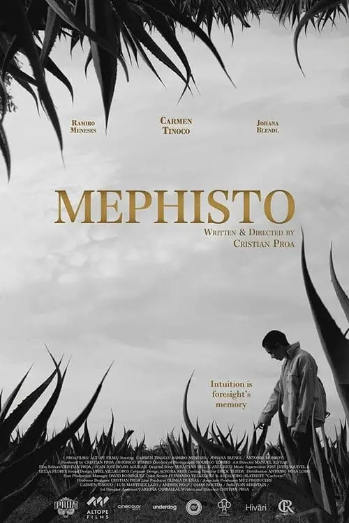 Постер до фільму "Mephisto"