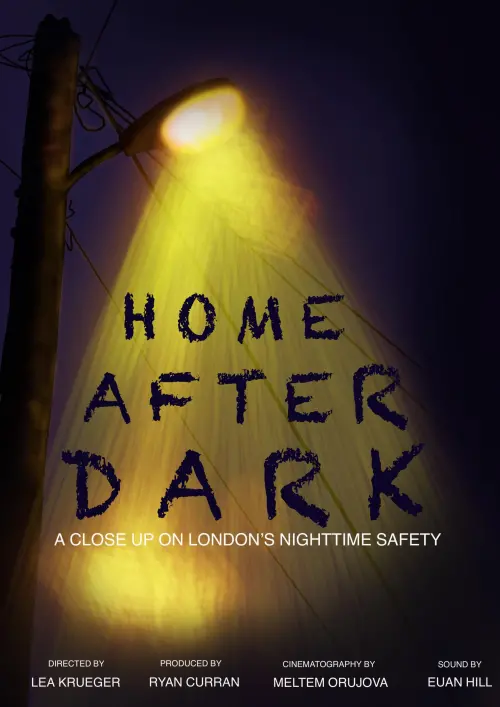 Постер до фільму "Home After Dark"