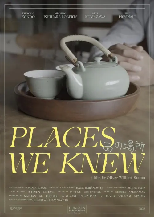 Постер до фільму "Places We Knew"