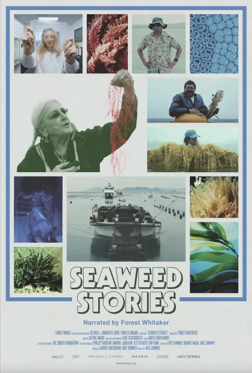 Постер до фільму "Seaweed Stories"