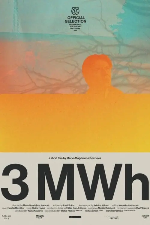 Постер до фільму "3 MWh"