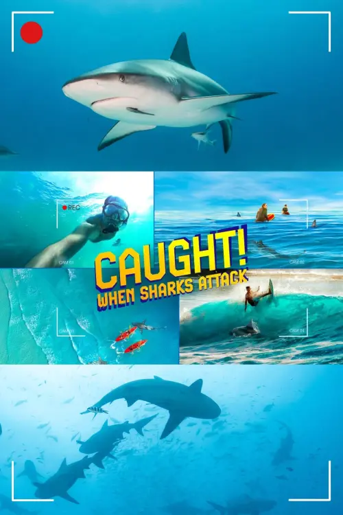 Постер до фільму "Caught! When Sharks Attack"