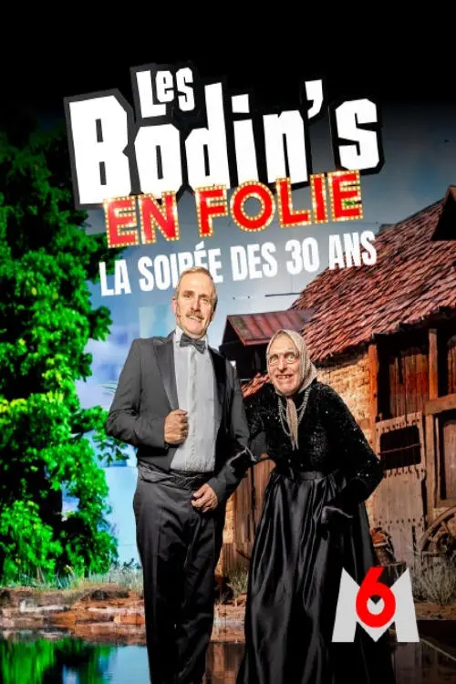 Постер до фільму "Les Bodin