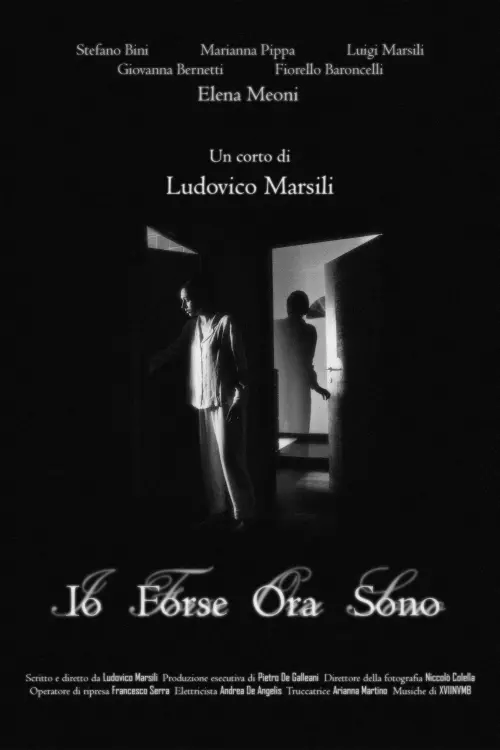 Постер до фільму "Io Forse Ora Sono"