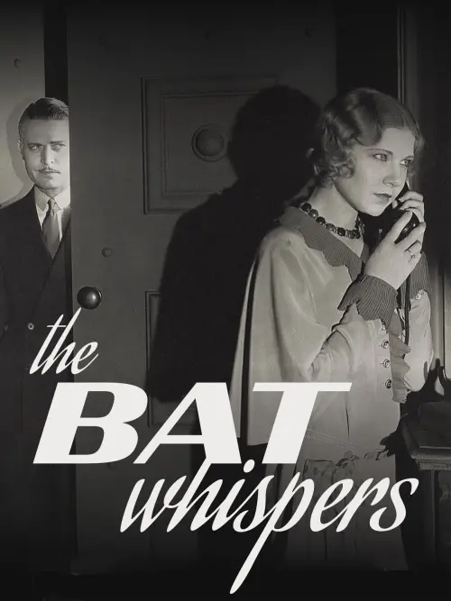 Постер до фільму "The Bat Whispers"