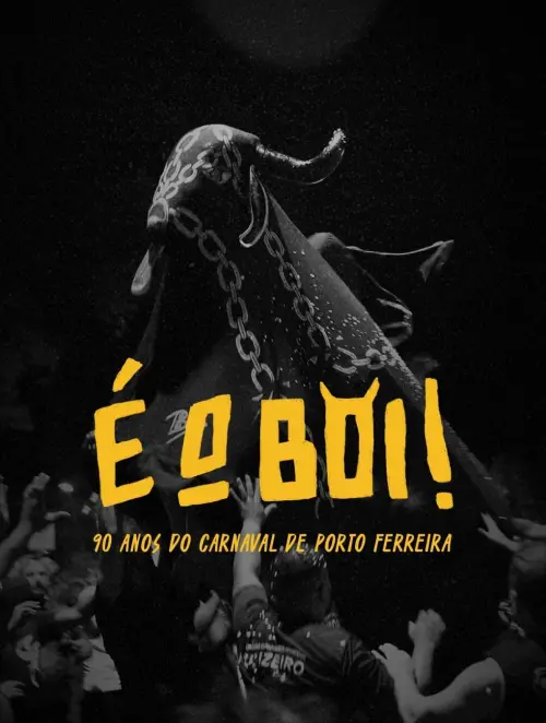 Постер до фільму "É o Boi"