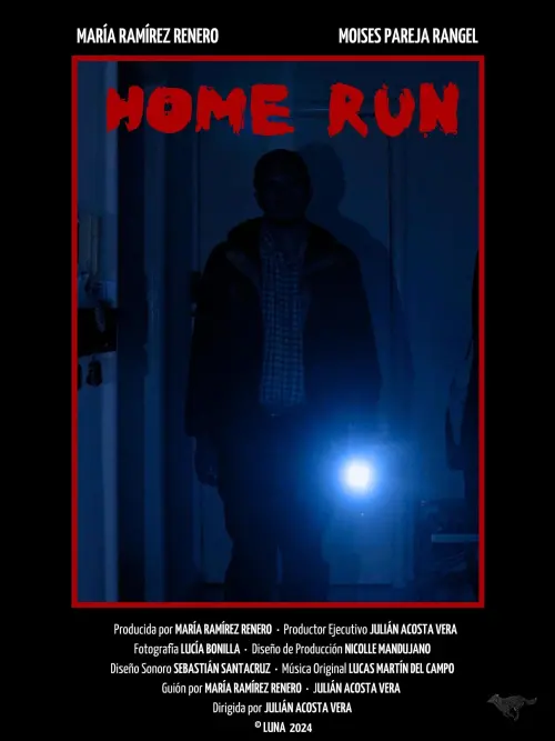 Постер до фільму "Home run"