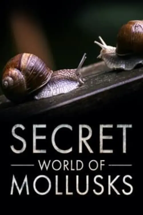 Постер до фільму "Secret World of Mollusks"