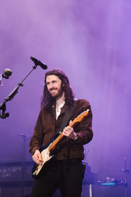 Постер до фільму "Hozier - Live at Lollapalooza Brazil 2024"