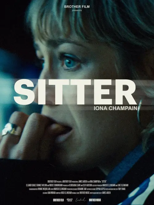 Постер до фільму "Sitter"