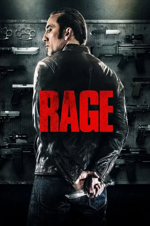 Постер до фільму "Гнів 2014"