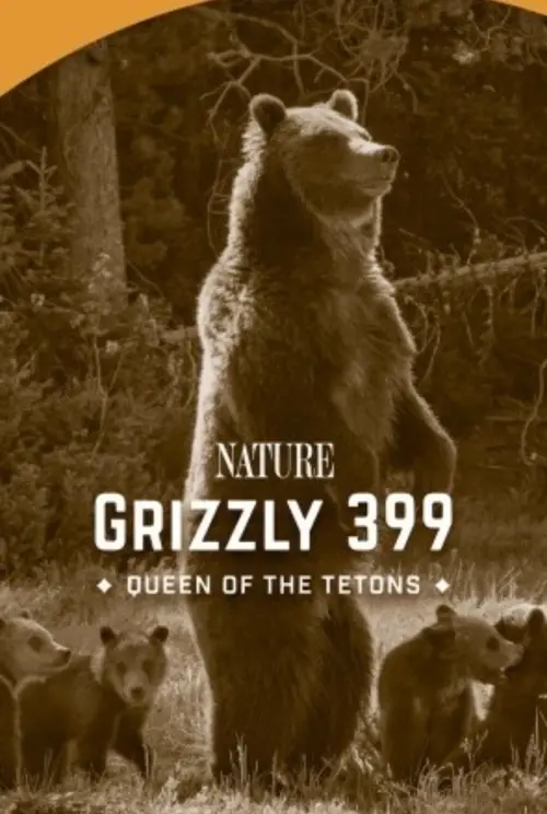 Постер до фільму "399: Queen of the Tetons"