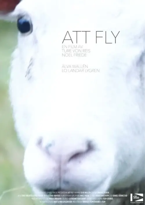 Постер до фільму "Att fly"