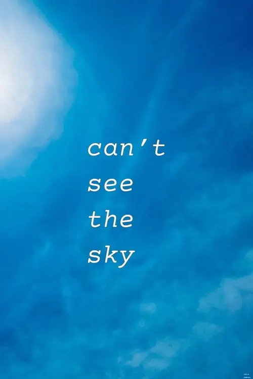 Постер до фільму "Can’t See The Sky"