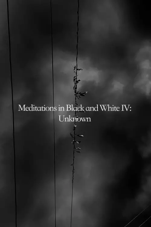 Постер до фільму "Meditations in Black and White IV: Unknown"