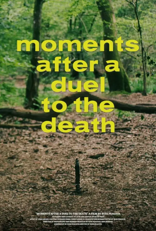 Постер до фільму "Moments After a Duel to the Death"