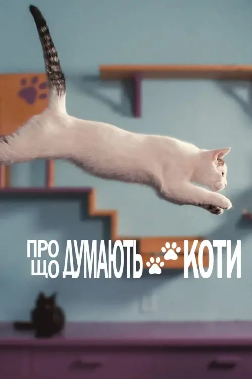 Постер до фільму "Про що думають коти"