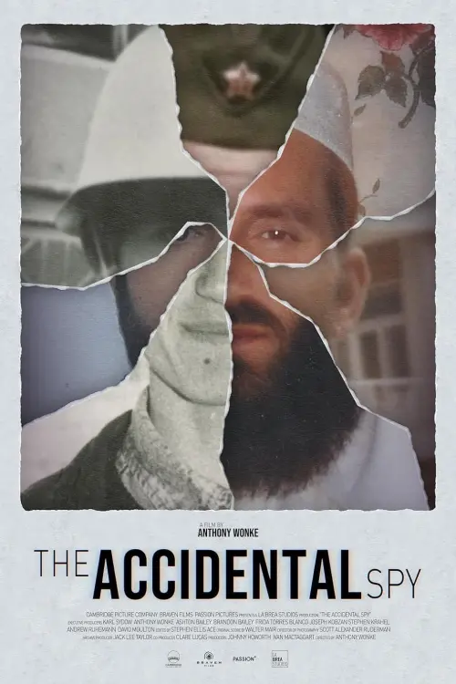 Постер до фільму "The Accidental Spy"