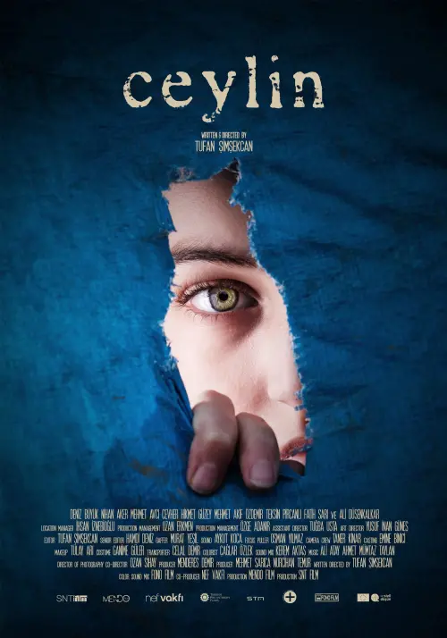 Постер до фільму "Ceylin"