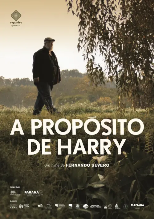 Постер до фільму "A Propósito de Harry"