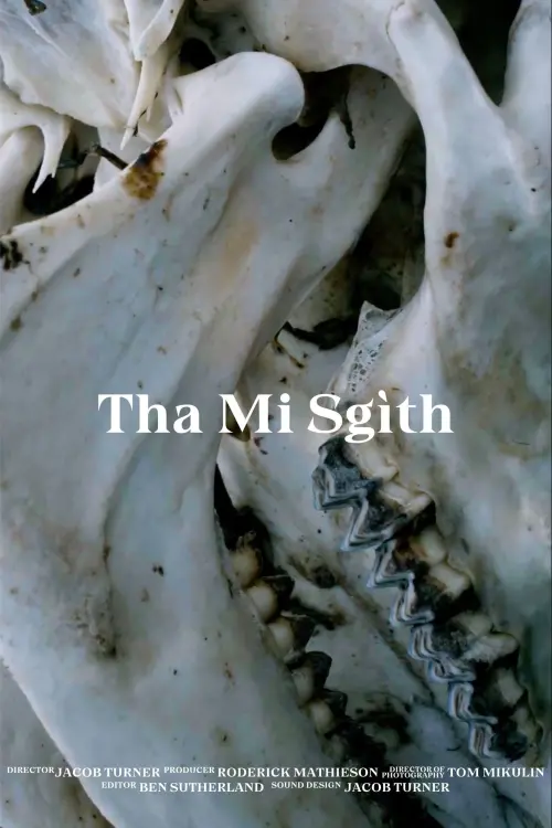 Постер до фільму "Tha Mi Sgìth"