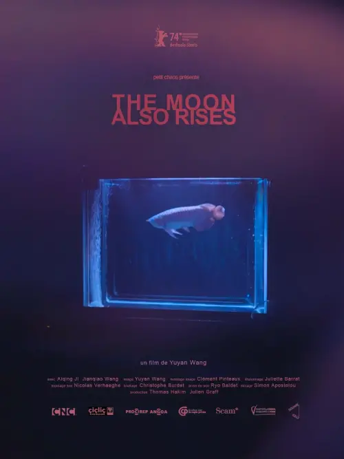 Постер до фільму "The Moon Also Rises"