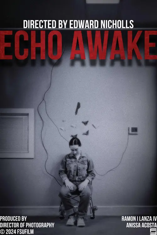 Постер до фільму "Echo Awake"