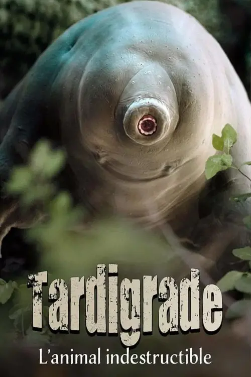 Постер до фільму "Tardigrade, l