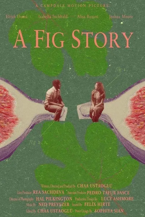 Постер до фільму "A Fig Story"