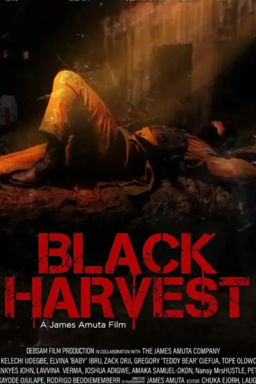 Постер до фільму "Black Harvest"