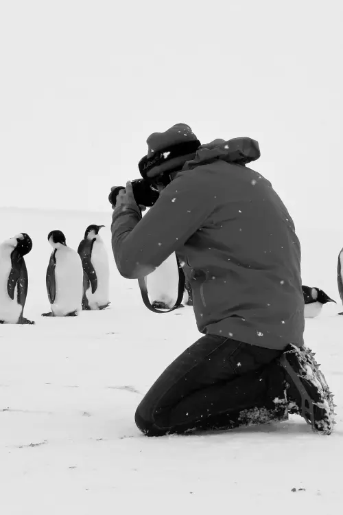 Постер до фільму "Antarctica Calling"