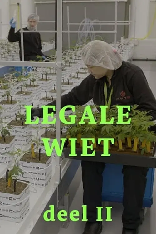 Постер до фільму "Legal weed 2"