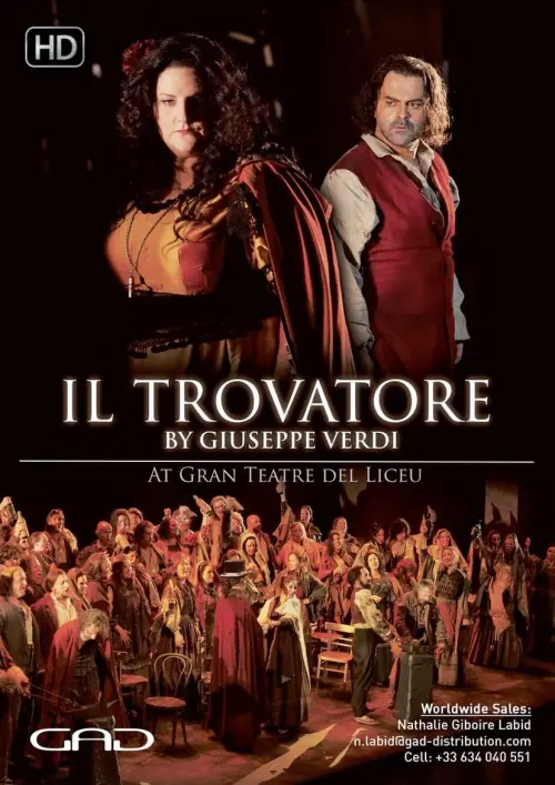 Постер до фільму "Il trovatore - Liceu"