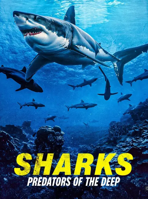 Постер до фільму "Sharks: Predators of the Deep"