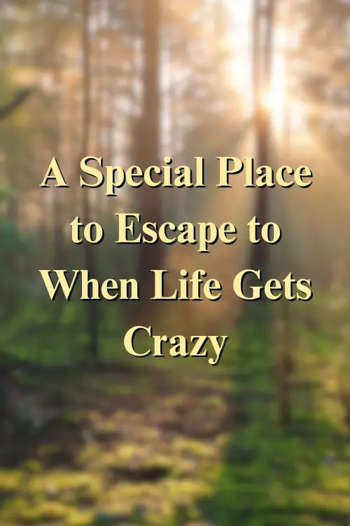 Постер до фільму "A Special Place to Escape to When Life Gets Crazy"