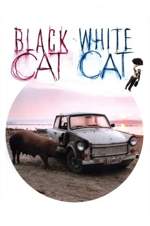 Постер до фільму "Чорна кішка, білий кіт"
