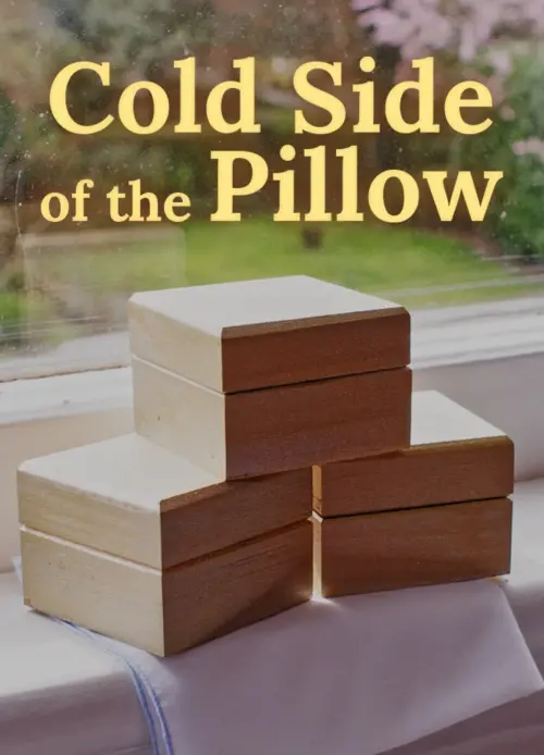 Постер до фільму "Cold Side of the Pillow"