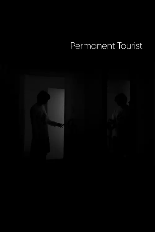 Постер до фільму "Permanent Tourist"