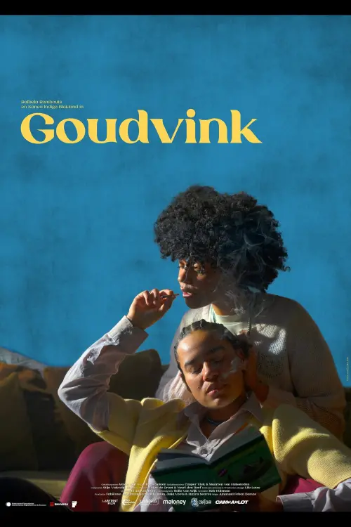 Постер до фільму "Goudvink"